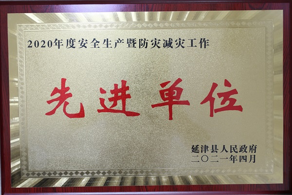 2020年度延津县“安全生产先进单位”奖牌.jpg 2020年度延津县“安全生产先进单位”奖牌.jpg